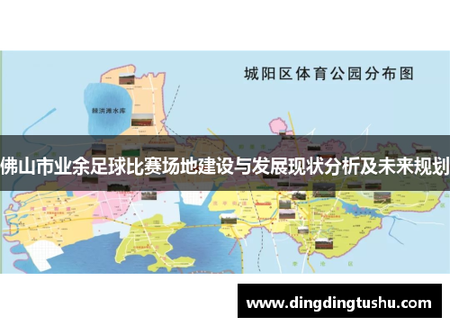 佛山市业余足球比赛场地建设与发展现状分析及未来规划