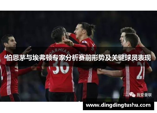 伯恩茅与埃弗顿专家分析赛前形势及关键球员表现