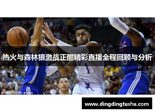 热火与森林狼激战正酣精彩直播全程回顾与分析
